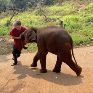 Judah Lewis Instagram - My Thailand workout regiment