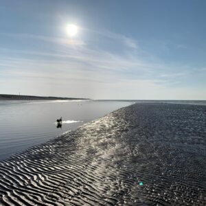 Judi Shekoni Instagram - Beach life and Bertie
