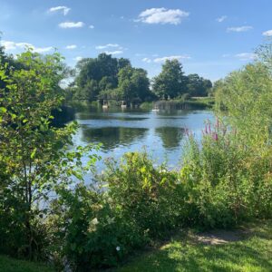 Judi Shekoni Instagram - Who knew England had a south of France ? 🥰@the_great_house #holiday #england #englishsummer #river #hotel #hotels #travel #baby #dog #family #familytravel