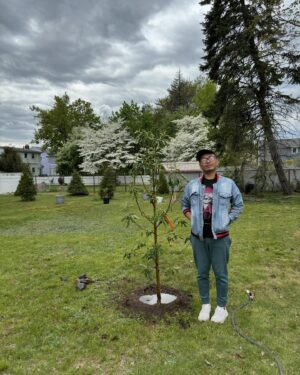 Jujubee Instagram - We planted the 33rd tree today! My favorite and THE BEST apple:

Granny Smith Apple
M. domestica × M. sylvestris

Height: 12’-14’
Width: 14’-16’

USDA hardiness Zones 5-8

🍏 

@boobyeisenhauer @robert_j_designs