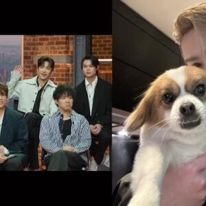 Julia Chatterley Instagram - And for a few moments… it was ALL about @mirror.weare’s beloved pets 🐶 🫶🏻 🐈