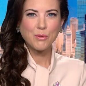 Julia Chatterley Instagram - Robert Rose, CEO of #ReliableRobotics joins me to discuss the logistics & safety guidelines required to fly their pilotless planes. 

His #autonomous prediction:

• Cargo planes in next 5  years
• Passenger travel by end of decade 

#travel #planes #tech #FAA #pilot #airplane #aircraft #pilotlife #future #cargo #sky #cockpit #flying