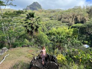 Julia Dujmovits Instagram - Kauai, Anahola 💚🪶🌱🍃🌴 The time of the breath of life. Thanks @heidikrings @julia_wiltschko @sasc_maui for this amazing soul adventure 🤍

#kauai #hawaii #anahola #nature #planetearth #beautifulplaces