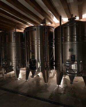 Julia Molkhou Instagram - Le château de l’Estang au pied de Sancerre, est un endroit merveilleux, chargé d’histoire. Artistes contemporains y croisent pianos rares et meubles du 17eme. Ici on fait aussi du vin et du très bon. Les deux cuvées que sont « Lestang 1573 Tradition » et « L’illustre Voyageur » sont à la hauteur de l’élégance de ce domaine. Et si les 2021 étaient déjà formidables, les 2022 sont une promesse de lendemains qui chantent… vivement la suite! @lestang1573