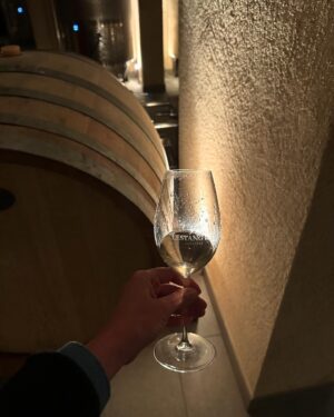 Julia Molkhou Instagram - Le château de l’Estang au pied de Sancerre, est un endroit merveilleux, chargé d’histoire. Artistes contemporains y croisent pianos rares et meubles du 17eme. Ici on fait aussi du vin et du très bon. Les deux cuvées que sont « Lestang 1573 Tradition » et « L’illustre Voyageur » sont à la hauteur de l’élégance de ce domaine. Et si les 2021 étaient déjà formidables, les 2022 sont une promesse de lendemains qui chantent… vivement la suite! @lestang1573