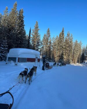 Julia Molkhou Instagram - Dépaysement total et rencontres mémorables lors de ce voyage en Suède et en Laponie suédoise. Arrivés à Stockholm, nous avons ensuite pris un train de nuit pour Luleö où nous attendait Cedric, le musher de @laponiemush . Après ce sont 7jours au coeur de la vie de Lisa et Cédric, au contact de leurs chiens, au rythme des journées dont l’ensoleillement est encore timide. Attelage, pêche sur glace, raquettes, motoneige et j’en passe. Une semaine que l’on n’oubliera pas. Merci Cédric, Lisa et Evan. C’était franchement génial de partir à la chasse aux aurores boréales avec vous. Mais faudra qu’on revienne rapport à… oui, bon, on n’en a pas vu une seule😂 alors on reviendra!