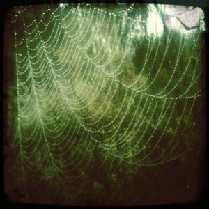 Julia Ormond Instagram - May every moment of your life be weaving a web of creative natural miracles, of seeing wisdom in chaos, finding perfect gems in simple dewdrops, set afire by a gentle dawn and rising sun. I love you, you know who you are...