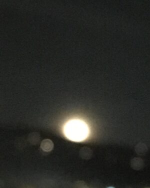 Julia Ormond Instagram - Last nights Malibu moonrise - wishing the world a bright and beautoful new year