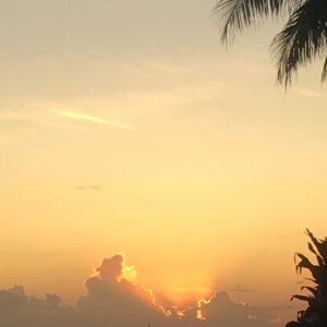 Julia Ormond Instagram - #ltihuddle Aloha and Mahalo for a beautiful evening