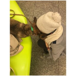 Julia Rosnowska Instagram - Dzidek i ja w trakcie powrotu z Krakowa. Psie zmęczenie i ludzka wdzięczność za bycie najlepszym psem. #whosagoodboy #thebestestdog #bffsforever