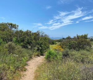 Julianne Arrieta Instagram - Sunny ☀️ day hiking 🤩 

#malibu #actress #nature #hikingadventures #californiadreaming #sunnydays☀️ #letsgorams #rams #friends