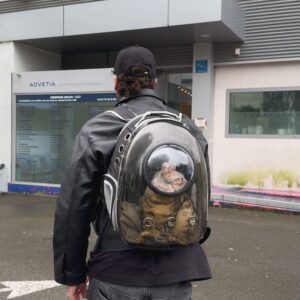 Julien Geloën Instagram - C’est reparti pour un tour ma chère Biancouste 🦞🤍