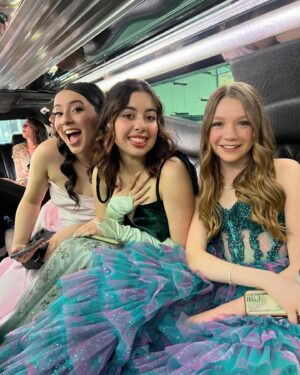 Juliet Donenfeld Instagram - Limo ride to the Oscars with our @redwhiteandbluefilm family…
⭐️⭐️⭐️⭐️⭐️⭐️⭐️⭐️⭐️⭐️⭐️⭐️⭐️
Thank you @nadrijewelry for all the sparkle! 💎💍 ( rings, bracelet, necklace)
Dress: @alyceparis 
Jewelry: @nadrijewelry 
#limoservice #limousine #stretchlimo 
#partyinthecar #redwhiteandbluefilm ##oscarnominated #oscars #nadrijewelry #jewelry #necklace #braclet #rings #limoride #oscarday  #oscarnominated #shortfilm #redwhiteandbluefilm #actress