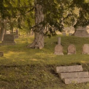 Juliet Landau Instagram - Erin M @erinthelandlesscontessa has seen A PLACE AMONG THE DEAD many times and made this video! #APlaceAmongTheDead #morethanamovie 

CAST: 
#JulietLandau #GaryOldman #RonPerlman #RobertPatrck #LanceHenriksen #AnneRice

Blu-Ray W/ NEARLY 5 HRS OF XTRAS: https://tinyurl.com/apatdamazon

Signed Blu-Ray: https://tinyurl.com/apatdbluray