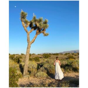 Juliet Rylance Instagram - 2020. 
California’s high desert has long been a home, a place of refuge for me. quite by chance, I was fortunate to spend the first lockdown at home here with my family. As studios and theaters went dark, we arrived in hats and scarves, the land still barren with winter, and watched the pandemic unfold with the spring, and later, the harsh heat of summer. 
The Mojave is a primordial landscape of browns and blues, all rock and sand. Creosote scatter vast swathes of prairie to the feet of craggy ridges, that rise toward mountains capped in white. Yuccas stretch their arms toward the immense sky.  It can feel like the beginning of time or the end of it. 
 Desolation in one moment, reveals itself in the next to be teeming with life; Ant colonies abound, bees hum in the wild sage. Black widows weave their webs under the eaves as Jack rabbits leap across the emergent spring bloom. Burrowing owls dart and dive as brave shoots push through rock and burst into florescent pinks and greens. And when the air becomes too hot to breath, the flash floods arrive drenching the parched earth, and fields of green appear and vanish just as quickly. 
Basic acts of survival are part of daily life here, community essential. We look for what’s alive and pay attention to it when it comes. 
If this hard land has taught me anything, it’s this:  Change and loss come hand in hand. What’s emergent is always enfolding before us. 
 Bear witness. It is an essential act. 
The world reveals itself to us at every turn and sometimes, all that is asked is that we receive it. 
  In all its beauty and desolation.