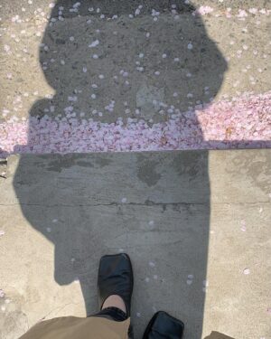 Jung Hoe-ryn Instagram - 🌸