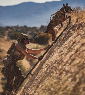 Justin Melnick Instagram - Pepper don’t need no ladder…. @betts_photo captured this amazing picture of me and my furry friend during a training day doing some mobility stuff.  The @rebs.no UPL is a clutch piece of equipment weather boarding ships or getting up large embankments.