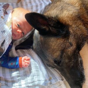 Justin Melnick Instagram - Melting my my heart.... @bronsonmelnick might have the best nanny ever.... #dogsofinstagram #belgianmalinois #babylove #bff #puppylove #puppiesofinstagram