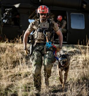 Justin Melnick Instagram - Supporters this is the Final day to help military working dogs! You can go to rexspecs.com and buy a discounted pair of hearing protection that will then get shipped to dogs down range.  please help us support our nations furry  little heroes. Thank you all for your help!! 50 bucks  goes a long way ... #workingdogs #supportourtroops #🇺🇸 #belginmalinois #dogsofinsta #dogsofinstagram #puppiesofinstagram #puppylove