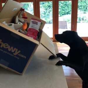 Justine Wachsberger Instagram - Way to win over my main squeeze 🤗 Thanks @chewy