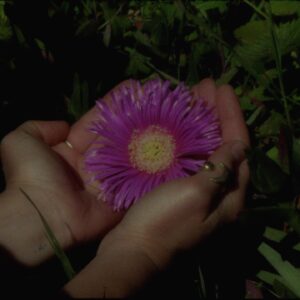 Kaelen Ohm Instagram - Happy Solstice family 🌸 how lucky are we to witness the miracle of this place each day… some favorite moments with the Mother during the Bright Lights video for @amaaramaara shot on 16mm film by @christiansorensenhansen — video U R L on my homepage
