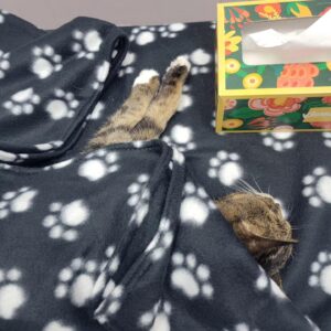 Kahlen Rondot Instagram - 💔💔😿😻Today I had to say goodbye to my best friend who has been with me for 2 decades. She was tired and fought hard against disease. But now it's time for my baby Tadpole to rest easy. 

To the many roommates we had over the years and friends we made, thank you for loving her and listening to this chatty lady over the years 😻😿💔💔