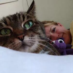 Kahlen Rondot Instagram - 💔💔😿😻Today I had to say goodbye to my best friend who has been with me for 2 decades. She was tired and fought hard against disease. But now it's time for my baby Tadpole to rest easy. 

To the many roommates we had over the years and friends we made, thank you for loving her and listening to this chatty lady over the years 😻😿💔💔