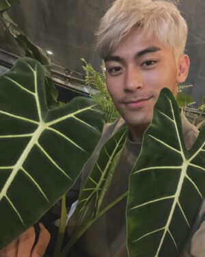 Kai Hsu Instagram - 青壯年Line貼圖療癒上線😂😂
用我最喜歡的植物結合Q版貼圖
讓我們用有幽默、療癒的方式回應長輩圖😂

大家知道嗎？ 
青壯年的定義是15-64歲唷
每個人有屬於自己的時區
一起各自在自己的領域發光發熱吧
用幽默的方式面對世界 
會讓自己更愉快唷☺️
#徐愷 #貼圖 #Line