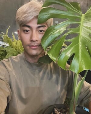 Kai Hsu Instagram - 青壯年Line貼圖療癒上線😂😂
用我最喜歡的植物結合Q版貼圖
讓我們用有幽默、療癒的方式回應長輩圖😂

大家知道嗎？ 
青壯年的定義是15-64歲唷
每個人有屬於自己的時區
一起各自在自己的領域發光發熱吧
用幽默的方式面對世界 
會讓自己更愉快唷☺️
#徐愷 #貼圖 #Line