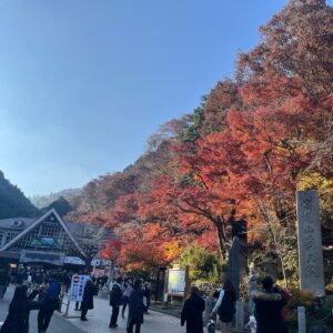 Kaito Sakurai Instagram - 久々にオフの時の写真を📸

何年かぶりに1人高尾山行ってきました。
めちゃくちゃ疲れた。
学生の時は疲れなかったのに。

老いを感じました。
