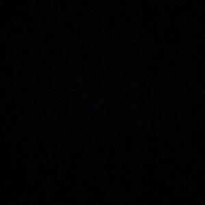 Kaley Ann Voorhees Instagram - #blackouttuesday
Links to donate or demonstration updates that I get will be in my bio or on my story 🖤