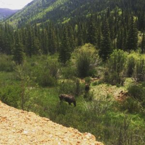 Kaley Ann Voorhees Instagram - Thank you all so much for the outpouring of love from my last post ❤️ My family and I really appreciate it. 
On a lighter note, #colorado is as beautiful and majestic as I remember it ⛰ all the thanks to @miarup & @jlivi2 for taking pics and driving me around!! 📷