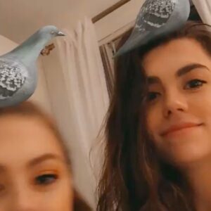 Kaley Ann Voorhees Instagram - Happy Sibling Day!!! 🤍 So glad I have this little sis to call my own, Love you @carolyn_corgi , Thanks for being my friend and my sibling 🐦
#nationalsiblingday #loveyougirl