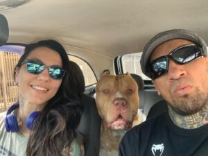 Kalindra Faria Instagram - Levando os bonitões para academia !!
❤️ 💛

#pitbull #pitbullbrasil #pitmonster #pitbullsofficial