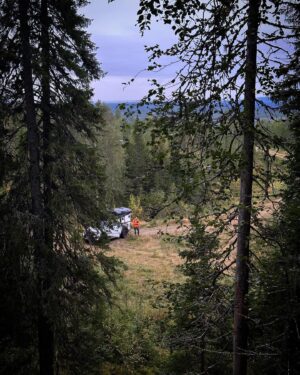 Kalle Zackari Wahlström Instagram - Underbara dagar i Västerbottens inland. Fanns en hel del älg, men dom vägrade stå. Kerstin kom med största tjuren jag sett på grannmarken. Får ta nya tag efter brunsten. Älgarnas asså, inte min. Bra kämpat hundar och människor. Funderar på att ta en dusch när jag kommer hem.