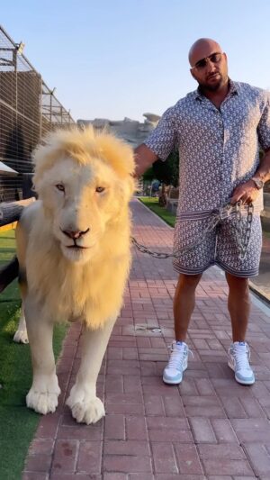 Kamel Guenfoud Instagram - I Walked with the real King “Simba”  #king #simba #lion #dreancometrue❤️