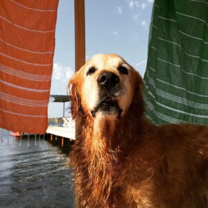 Kanbolat Görkem Arslan Instagram - 🐕