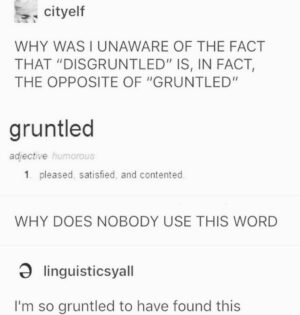 Kandyse McClure Instagram - So very gruntled indeed 😄

• @itstumblrhumor #Wordoftheday