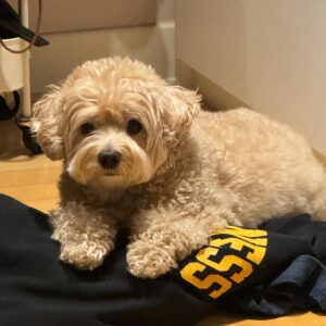 Kang Byul Instagram - 오랜만에 금자모음zip🩷🐶