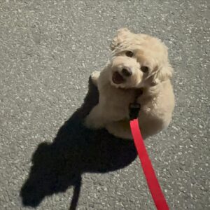 Kang Byul Instagram - 오랜만에 금자모음zip🩷🐶