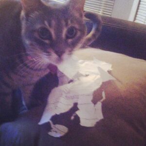 Kara Eberle Instagram - Stella, you are guilty way beyond reasonable doubt.