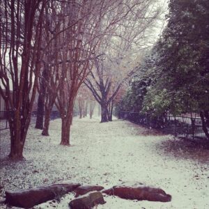 Kara Eberle Instagram - White Christmas in Texas!!!!
