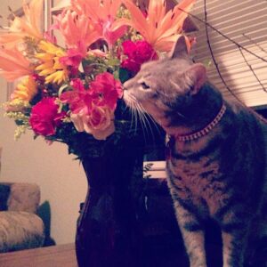 Kara Eberle Instagram - Sometimes you just gotta stop and smell the roses...