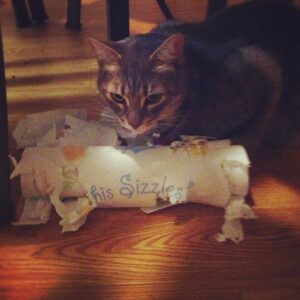 Kara Eberle Instagram - Paper towel thief.