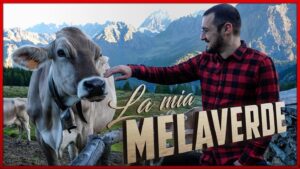 Karim Musa Instagram - È uscito un video, a quest’ora perché è staccato dallo show classico.
Le anteprime belle di @pikapalindromo