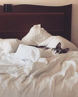 Karl Glusman Instagram - layla 🐺💜 #wolfpack