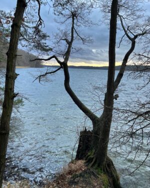 Karl Lauterbach Instagram - Ich wünsche allen Bürgerinnen und Bürgern ein frohes Neues Jahr 2024! Am Horizont ist noch Licht, möge das Jahr uns allen mehr Licht bringen. Ich wünsche Ihnen besonders Gesundheit und uns allen Frieden. Für Ihre Gesundheit und den Frieden für alle werde ich mich weiter einsetzen