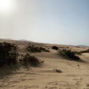 Karolína Krezlová Instagram - Fuerteventura magic

#fuerteventura #magic #travelphotography