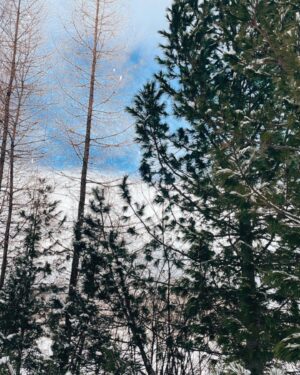 Karolína Krezlová Instagram - Proč jsou tyhle místa tak strašně hezky… 🖤

#snowparadise#snowyday