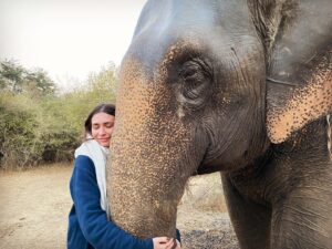 Karolina Wydra Instagram - Had the most magical night meeting Lakshmi at the elephant sanctuary. I am in awe of these beings. Totally against riding elephants and I’m horrified that people do it for their own amusement.